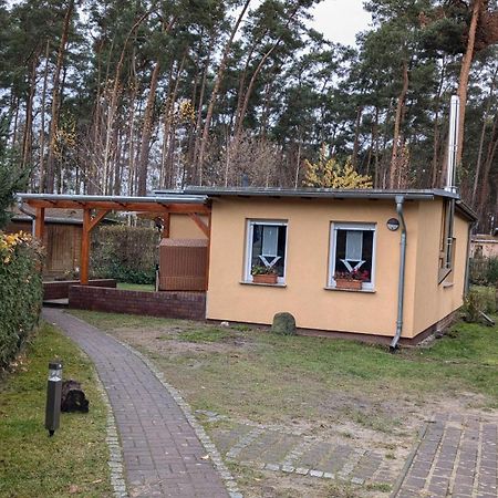 Ferienhäuser Golinski mit Kamin und umzäutem Grundstück am Neuendorfer See Alt Schadow Exterior foto