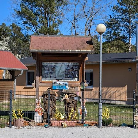 Ferienhäuser Golinski mit Kamin und umzäutem Grundstück am Neuendorfer See Alt Schadow Exterior foto