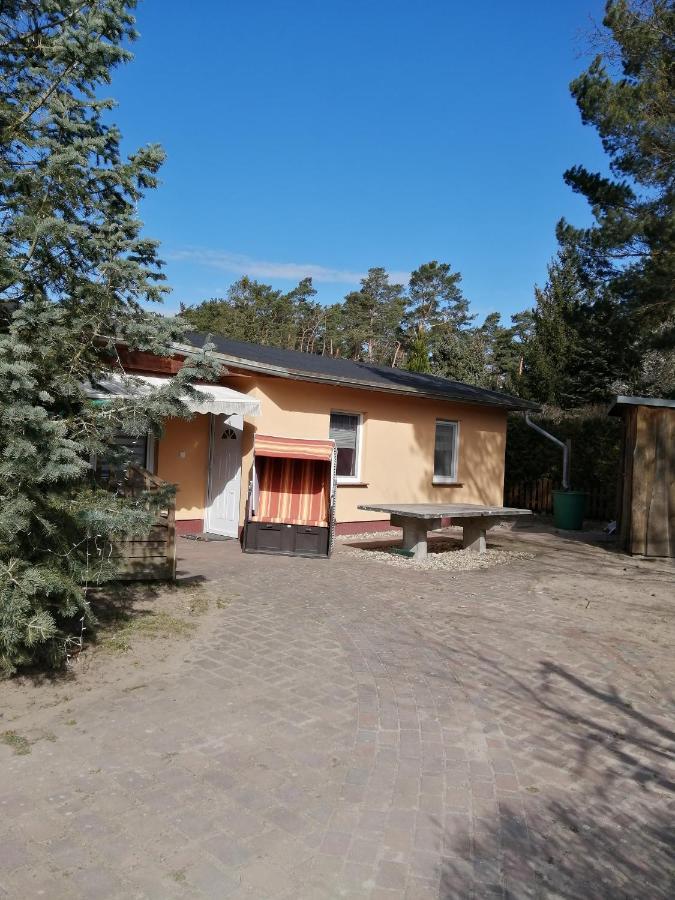 Ferienhäuser Golinski mit Kamin und umzäutem Grundstück am Neuendorfer See Alt Schadow Exterior foto