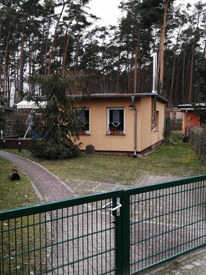 Ferienhäuser Golinski mit Kamin und umzäutem Grundstück am Neuendorfer See Alt Schadow Exterior foto