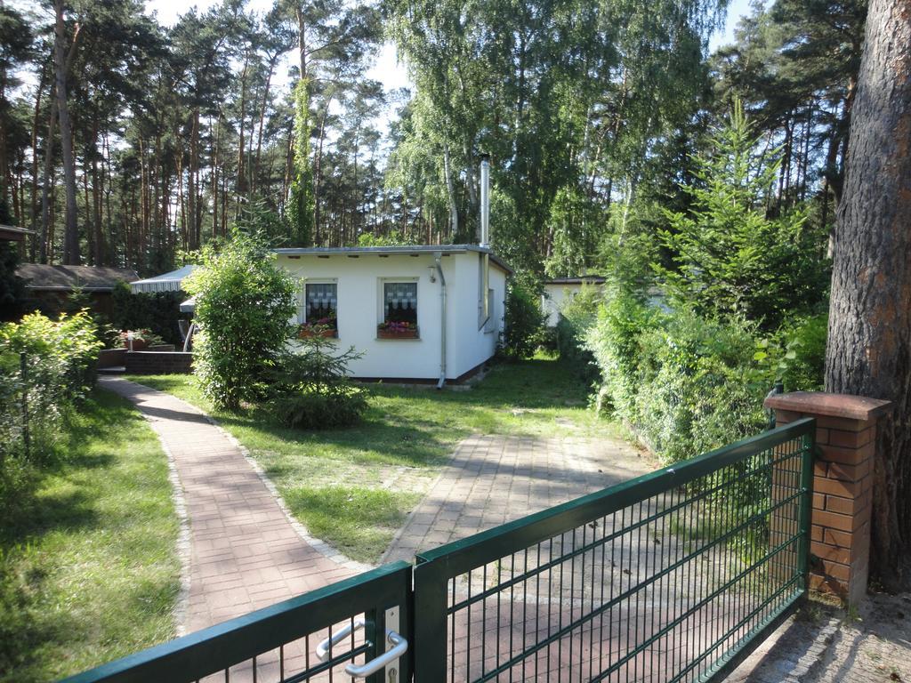 Ferienhäuser Golinski mit Kamin und umzäutem Grundstück am Neuendorfer See Alt Schadow Exterior foto