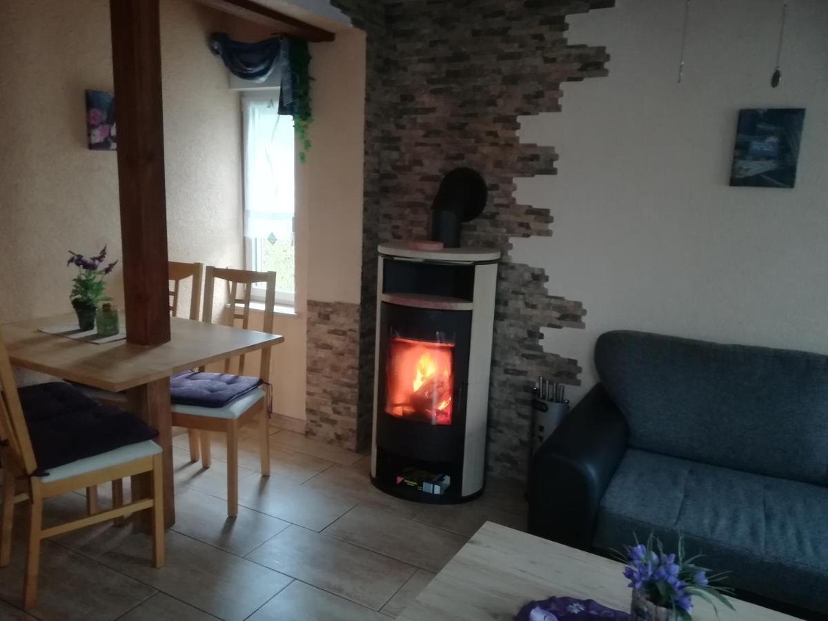 Ferienhäuser Golinski mit Kamin und umzäutem Grundstück am Neuendorfer See Alt Schadow Exterior foto