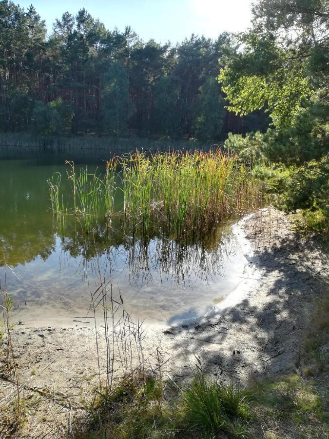 Ferienhäuser Golinski mit Kamin und umzäutem Grundstück am Neuendorfer See Alt Schadow Exterior foto